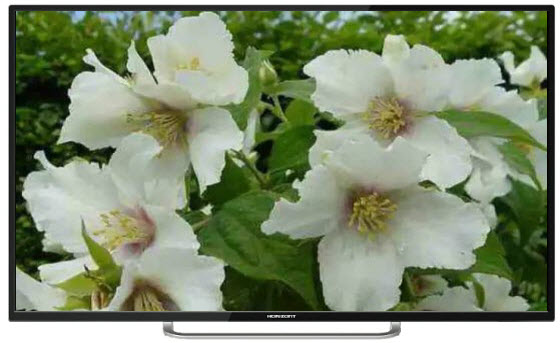 Телевизор HORIZONT 43LE7913D