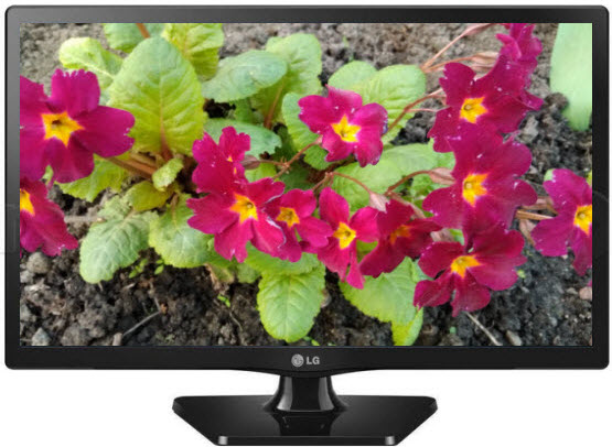 Телевизор LG 22MT47DC
