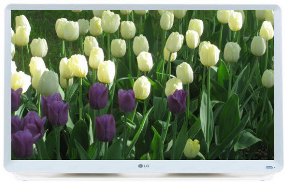 Телевизор LG 27TK600V-WZ