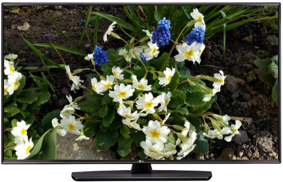 Телевизор LG 43LV341H