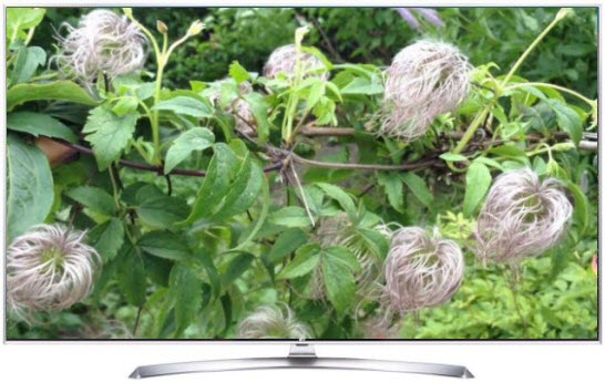 Телевизор LG 43UJ740V