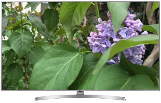 Телевизор LG 43UK6510