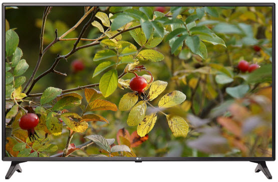 Телевизор LG 49LJ614V