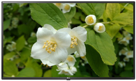 Телевизор LG 55UT640S
