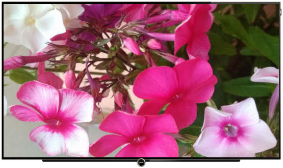 Телевизор LOEWE bild 5.55 oled