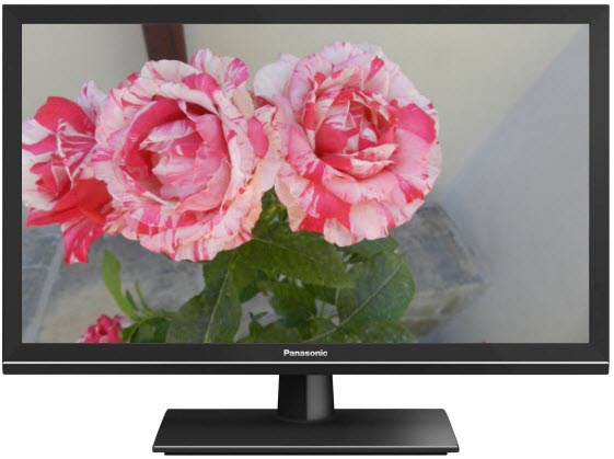 Телевизор PANASONIC TX-24ESW504