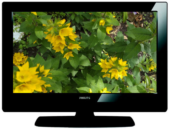 Телевизор PHILIPS 32PFL3512D