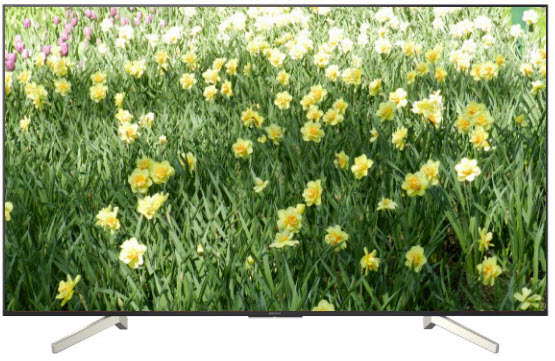 Телевизор SONY KD-55XF8599
