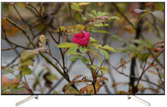 Телевизор SONY KD-65XF8596