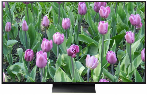 Телевизор SONY KD-65ZD9